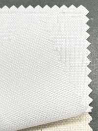 P1313 Fujikinbai Toile de coton n° 11, traitée pour l'impression[Textiles / Tissus] Fujikinbai Images supplémentaires