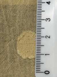 BF7210 [Textiles / Tissus] KOYAMA Images supplémentaires