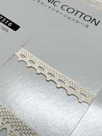 SIC-7316 Dentelle Torsion Coton Bio / 8mm SHINDO(SIC) Sous-photo