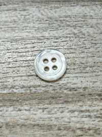 SW17-OUTLET Bouton En Nacre IRIS Sous-photo