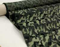 PTS-2 Pentagono (Motif De Camouflage Textile En Soie [sortie] Sous-photo