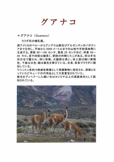 1676 Fukaki Tissé Fabriqué Au Japon Guanaco Blend Cashmere Textile FUKAKI Sous-photo