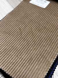 CD5501-BE Velours Côtelé Japonais Standard 8W Uni Beige[Textile] Images supplémentaires