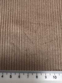 CD5501-BE Velours Côtelé Japonais Standard 8W Uni Beige[Textile] Images supplémentaires