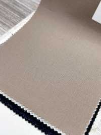 CW3501-BE Collection standard de couleurs de laine domestique Beige[Textile] HOSOI SYOJI Images supplémentaires