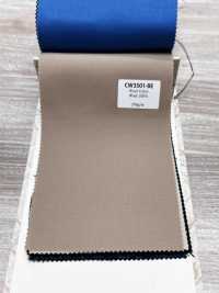 CW3501-BE Collection standard de couleurs de laine domestique Beige[Textile] HOSOI SYOJI Images supplémentaires