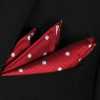 CF-600 100% Soie Domestique Pochette Motif Pois Rouge