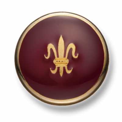 HS-228 Holland&Sherry Boutons métalliques pour costumes et vestes, doré